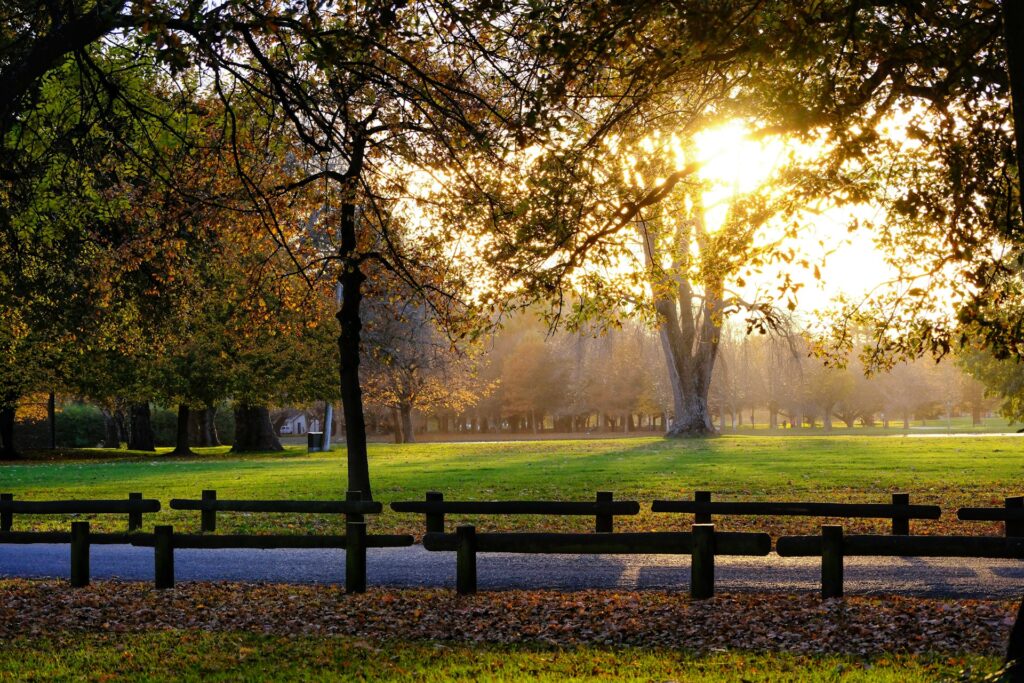 Laser eye surgery assessment Christchurch