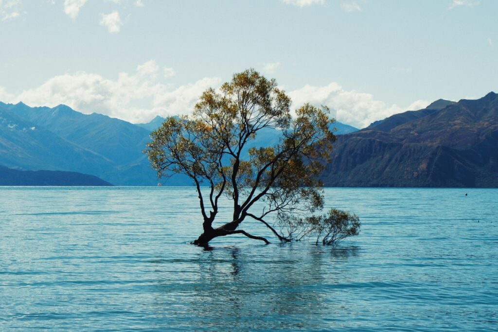 Laser eye surgery assessment Wanaka